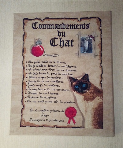 Les commandements du chat