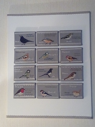 Les oiseaux du jardin